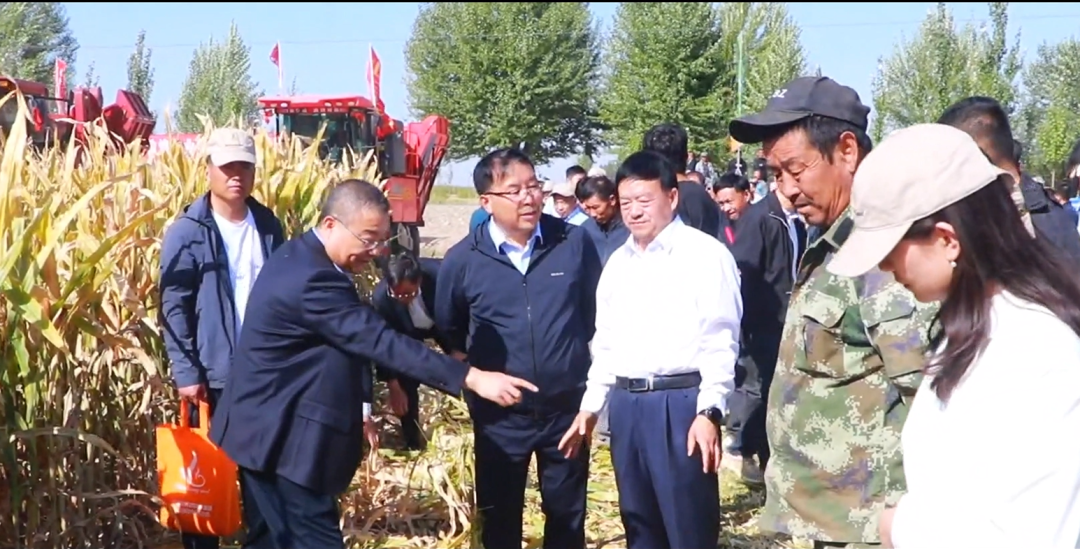 推進制種玉米機械采收 給敦煌種業振興插上科技的翅膀 —— 敦煌種業農業服務有限公司隆重開業 召開機械化采收演示會